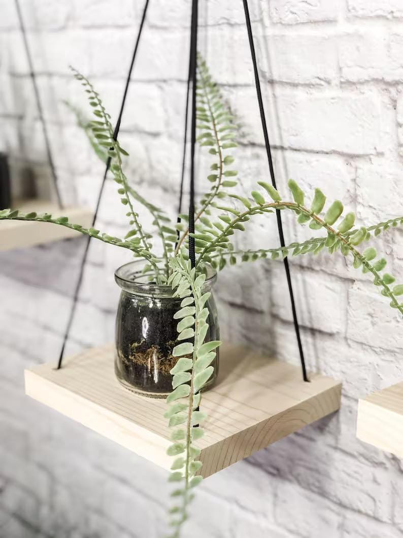 Whitewashed Wood Hanging Shelves Set of 3: Rustic Farmhouse Wall Decor & Plant Decor